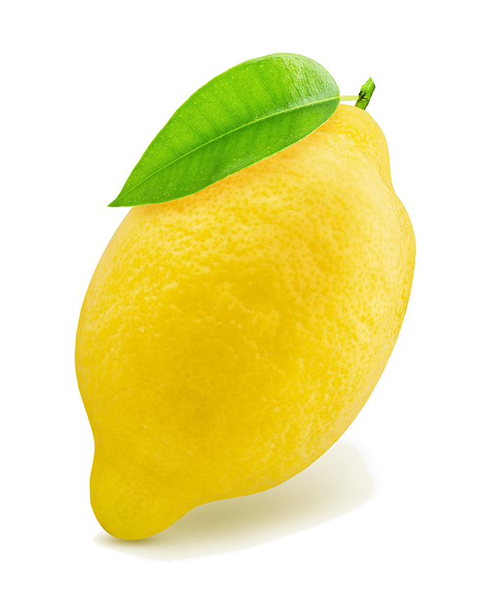 Limón Verna-El limón verna tiene una forma alargada. Casi no tiene semillas y presenta un nivel relativamente bajo de acidez. Su producción comprende desde abril hasta agosto.